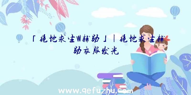 「绝地求生W辅助」|绝地求生辅助衣服发光